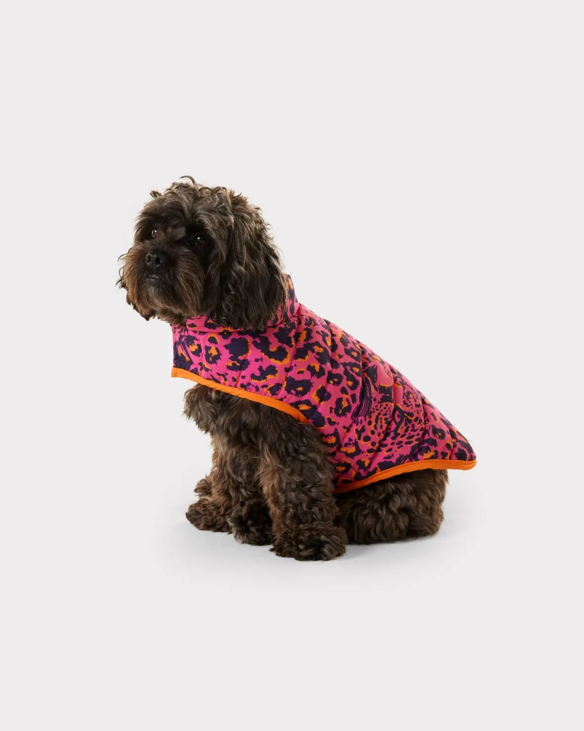 Hidden Leopard Print Dogs Quilted Puffer Jacket - Pink