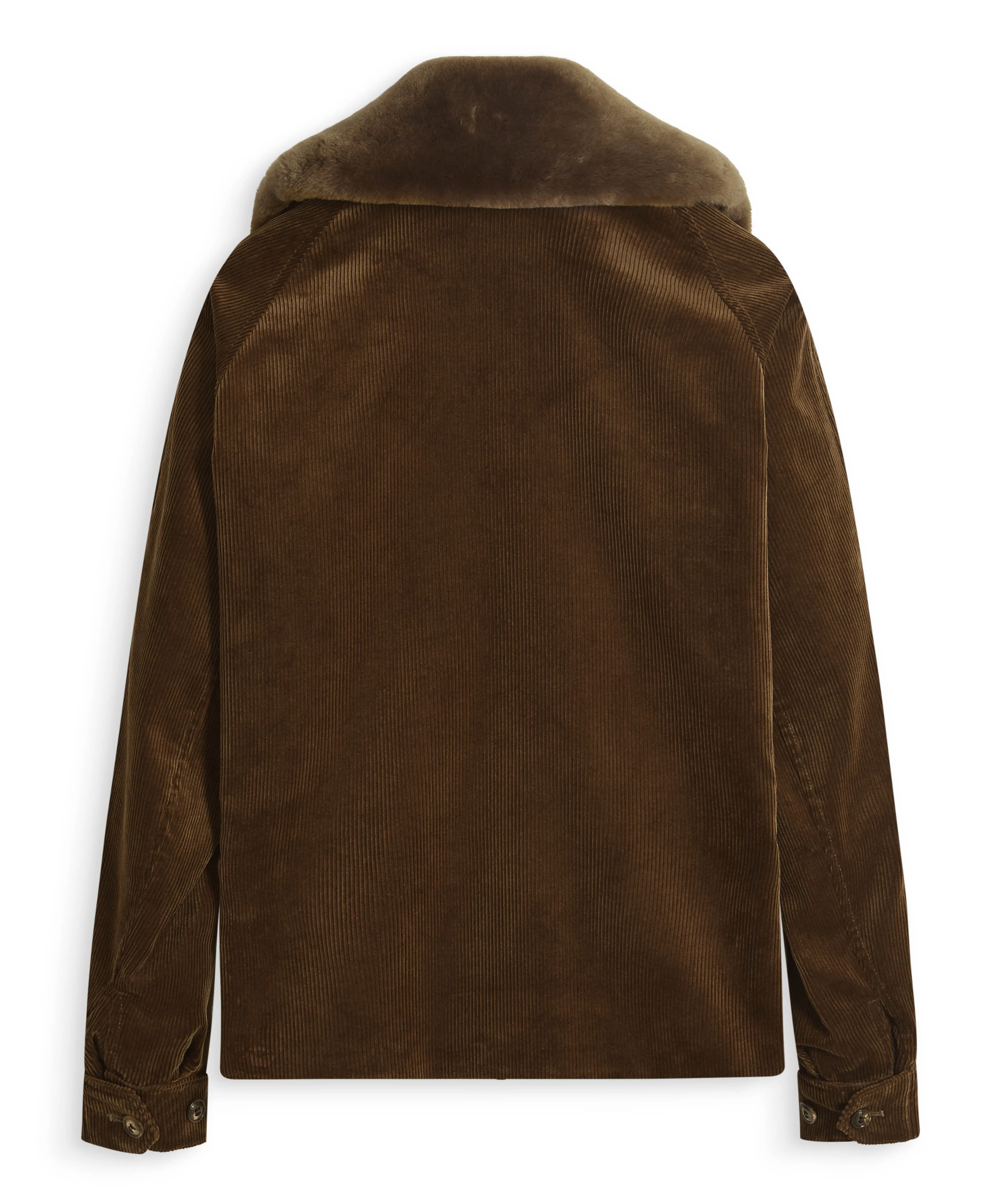 Mollison in Brown Corduroy