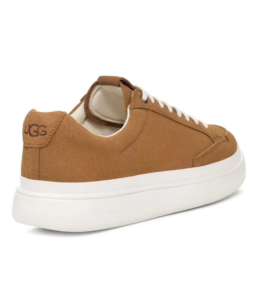 South Bay Sneaker Low Suede in Chestnut by UGG