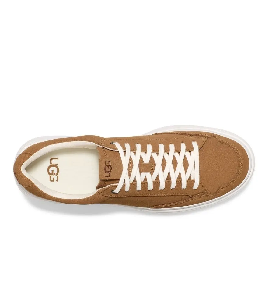 South Bay Sneaker Low Suede in Chestnut by UGG