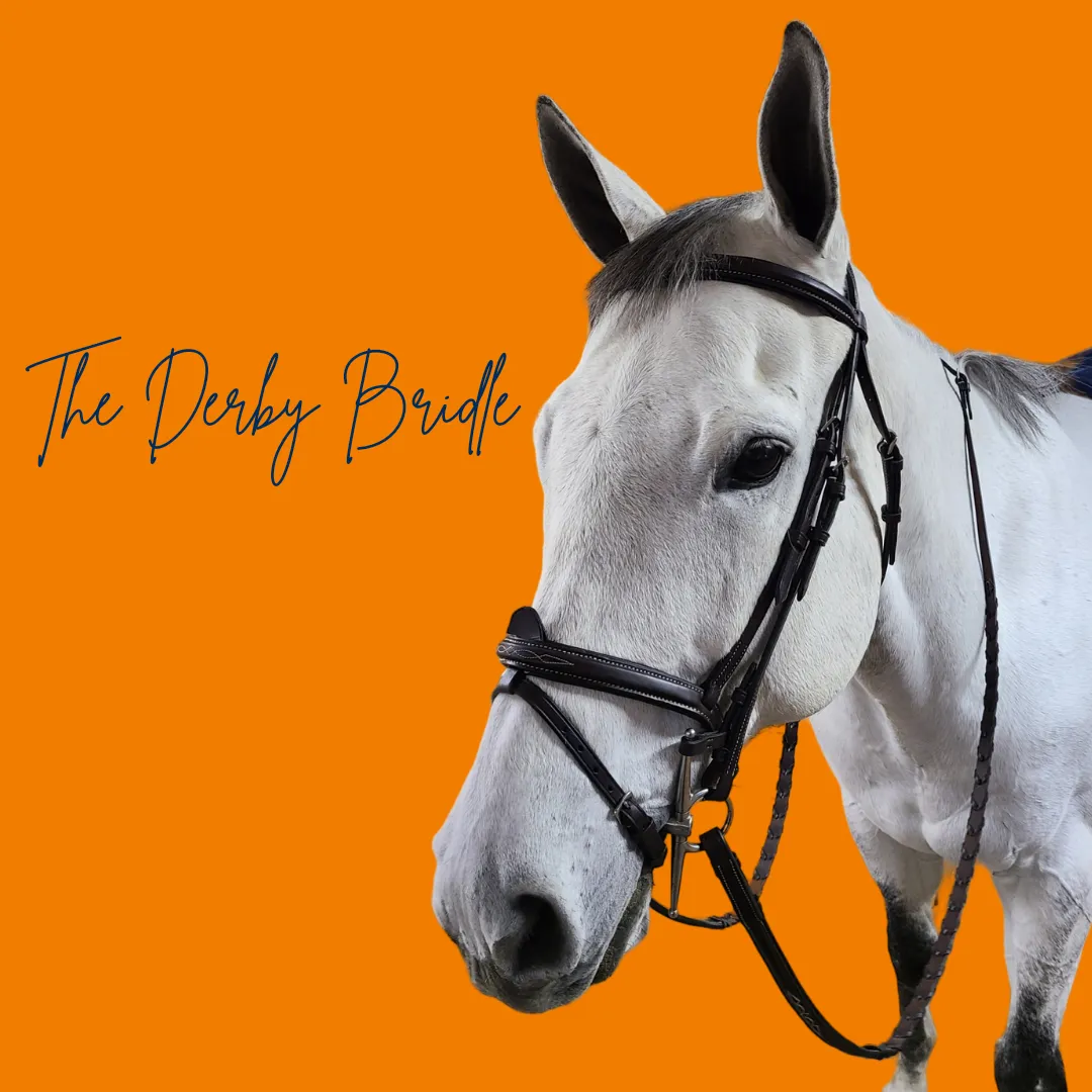 The In Gate Derby Bridle™ with Removable Flash and Laced Reins - FINAL SALE