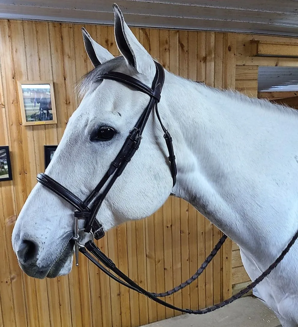 The In Gate Derby Bridle™ with Removable Flash and Laced Reins - FINAL SALE